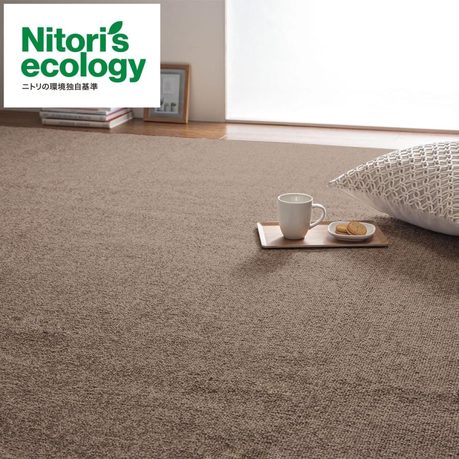 ニトリ（NITORI） 防音・防炎・抗菌防臭・防ダニカーペット(N