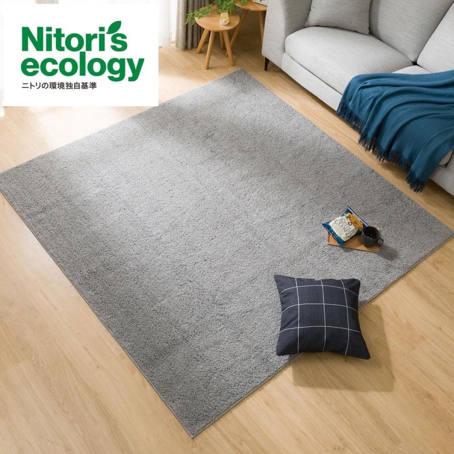 ニトリ（NITORI） ほこりが取れやすい洗えるラグ(Nクリーンウォッシュ
