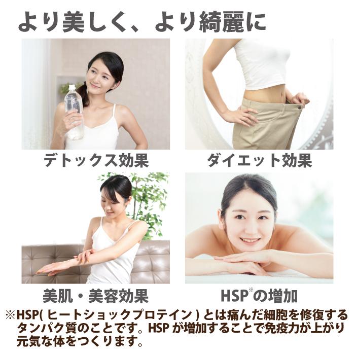 ホームサウナSPA 家庭用サウナ 簡単 コンパクト ととのう 折りたたみ
