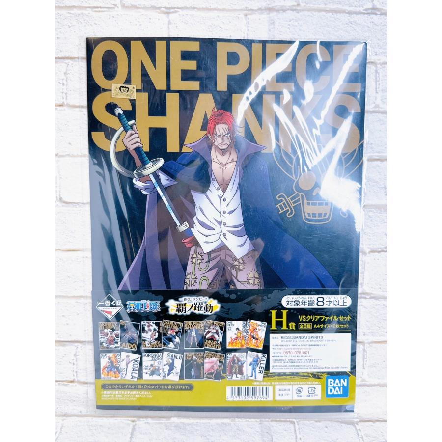 ☆A46 ワンピース ONE PIECE 一番くじ 覇ノ躍動 H賞 VS クリアファイル