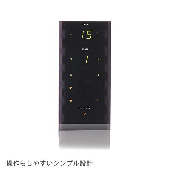 業務用 サロン用 イオン導入 美顔器 HD イオン導入器 イオン美顔器