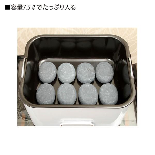 ホットストーン 導入セット A （ ウォーマー+ストーン6個 ） ストーン