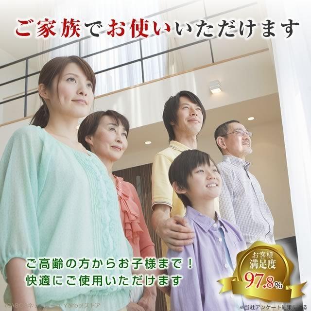 パルストレーナー 3DEMS 中古 特価ランク 2年保証 株式会社ホーマー