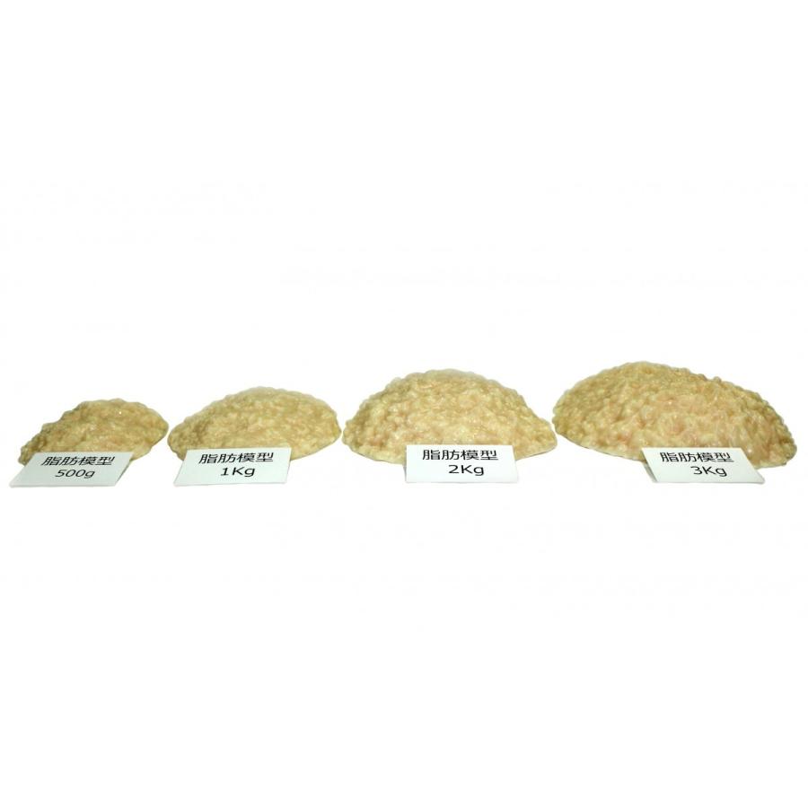 実物重量 脂肪サンプル 3kg 食品サンプル 脂肪模型 ダイエット