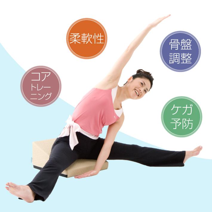 フレックスクッション＋DVD」のセット : サンテプラスYahoo!店 - 通販