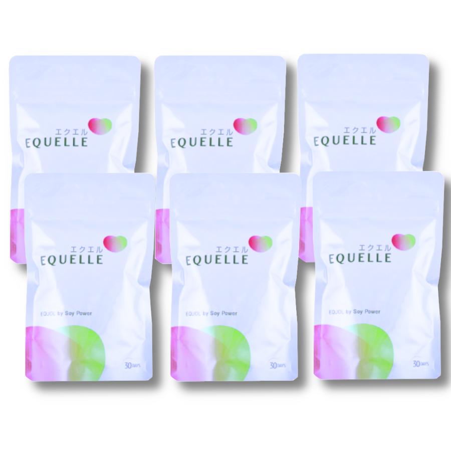 正規品】6袋セット 大塚製薬 エクエル パウチ 120粒入