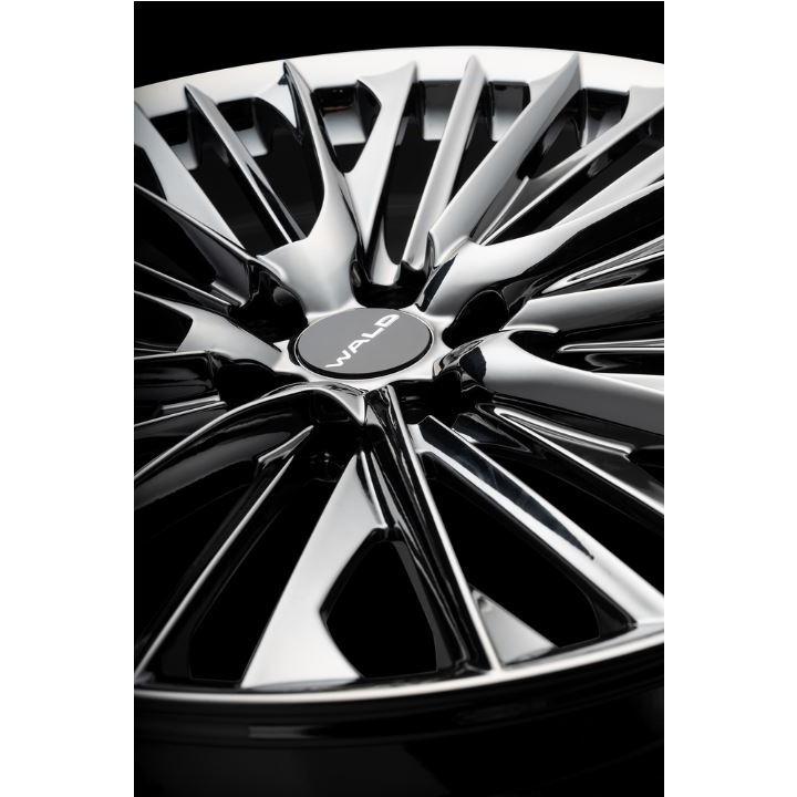 ヴァルド(WALD) ジェニュインライン F001 20インチ 【厳選輸入245