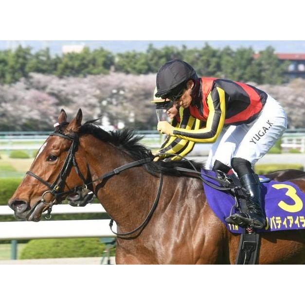 リバティアイランド 三冠制覇特別仕様！ Mサイズ！ ぬいぐるみ