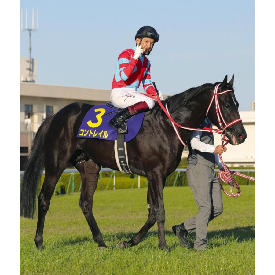 コントレイル ぬいぐるみ Sサイズ アイドルホース 第41回ジャパン
