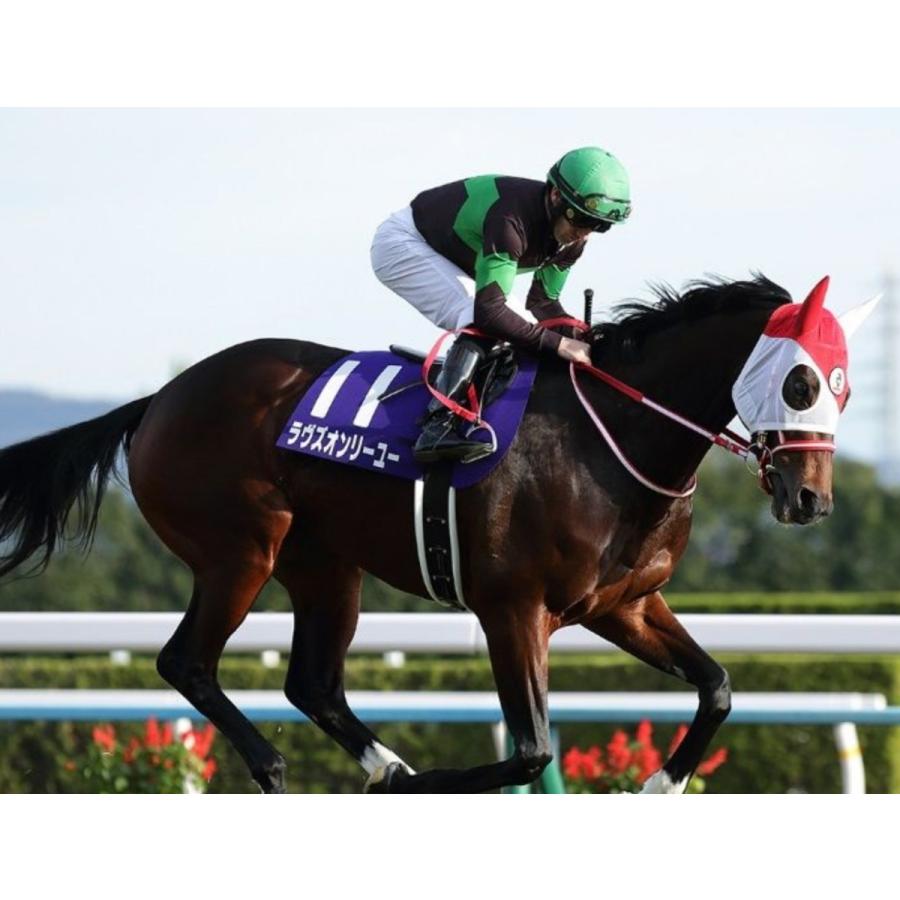 ラヴズオンリーユー ぬいぐるみ Mサイズ アイドルホース 21BCフィリー