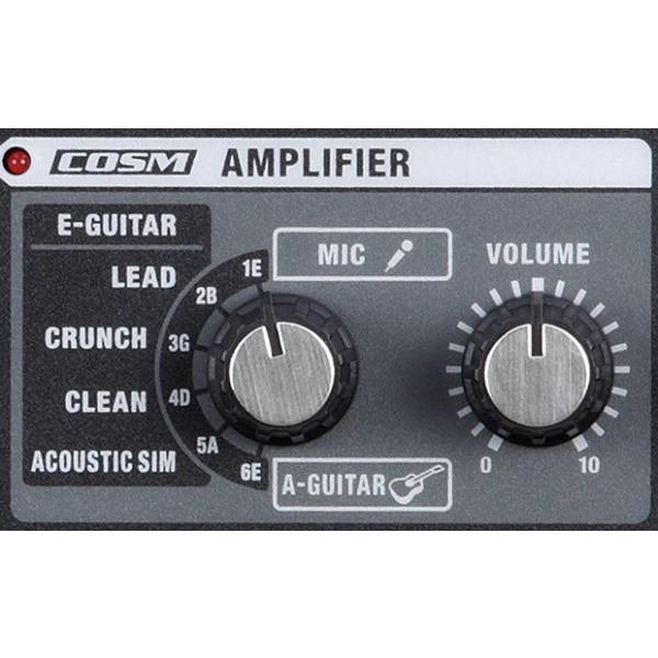 ローランド（Roland） CUBE street EX電池駆動ステレオアンプモニター