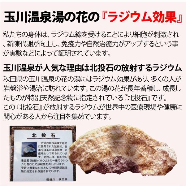 玉川温泉の岩盤浴ふとんDX シングル 山甚物産 直送につき代引・同梱