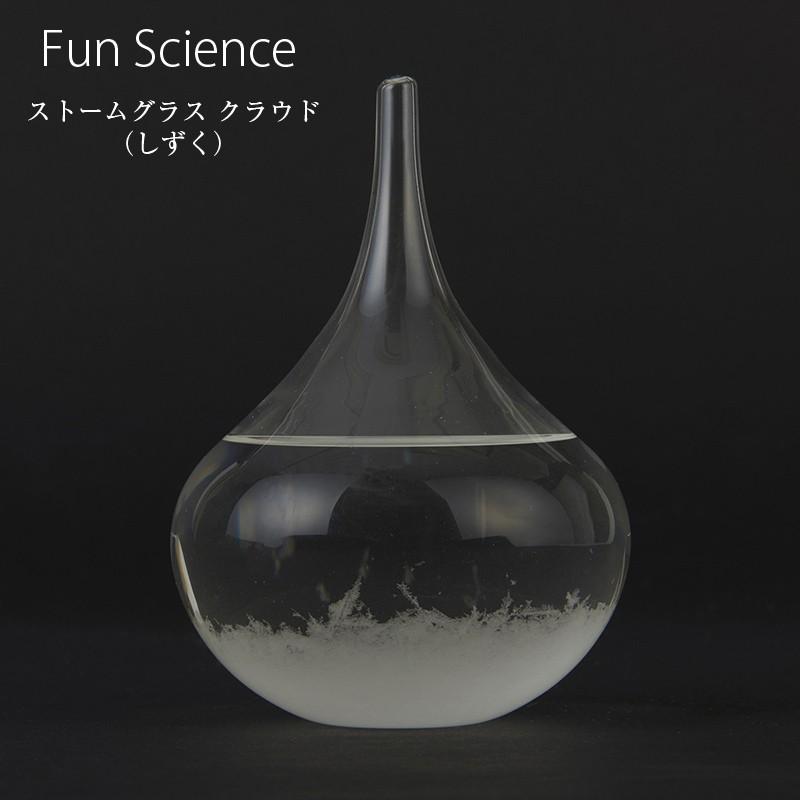Fun Science（ファン・サイエンス） インテリア小物 置物 ストーム