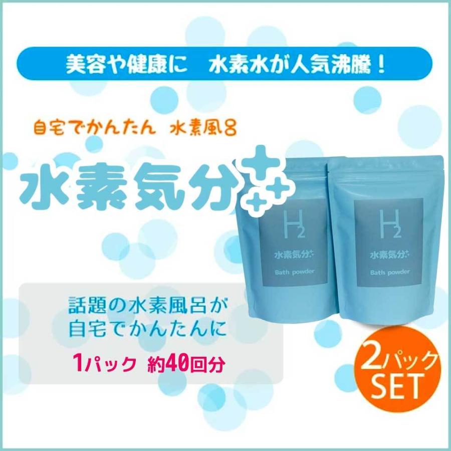 入浴剤 水素入浴剤 水素気分プラス1kg×2個セット 80回分 送料