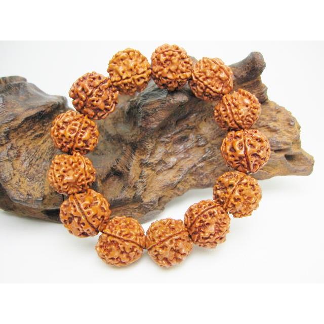 数珠 金剛菩提樹 ルドラクシャ Φ17±1mm : 天然石のお店Sun flower