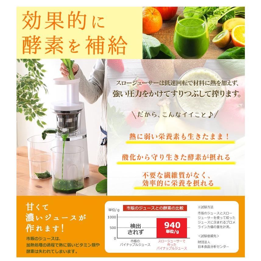 IRIS OHYAMA（アイリスオーヤマ） ミキサー ジューサー スムージー
