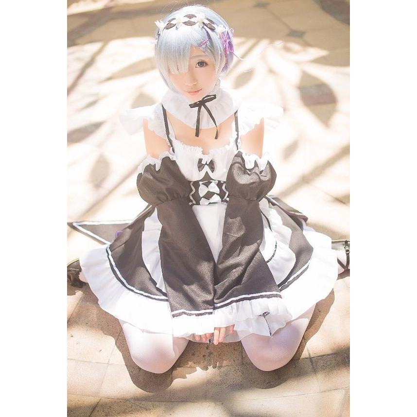 ウィッグ付き Re:ゼロから始める異世界生活 風 リゼロ ラム レム