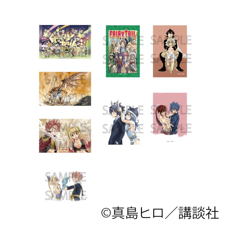 予約 03/24 発送予定】 FAIRY TAIL トレーディングカード ※ブラインド