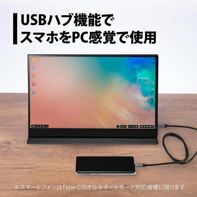 PRINCETON（プリンストン） 15.6インチ モバイルディスプレイ ブラック