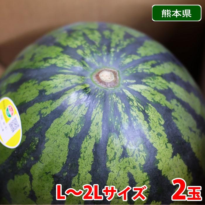 熊本県産 スイカ 秀品 L〜2Lサイズ 2玉入り（箱） 国産 果物 西瓜