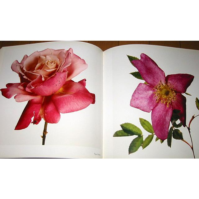 洋書写真集 フラワーズ/アービング・ペン/ FLOWERS/Irving Penn（輸入