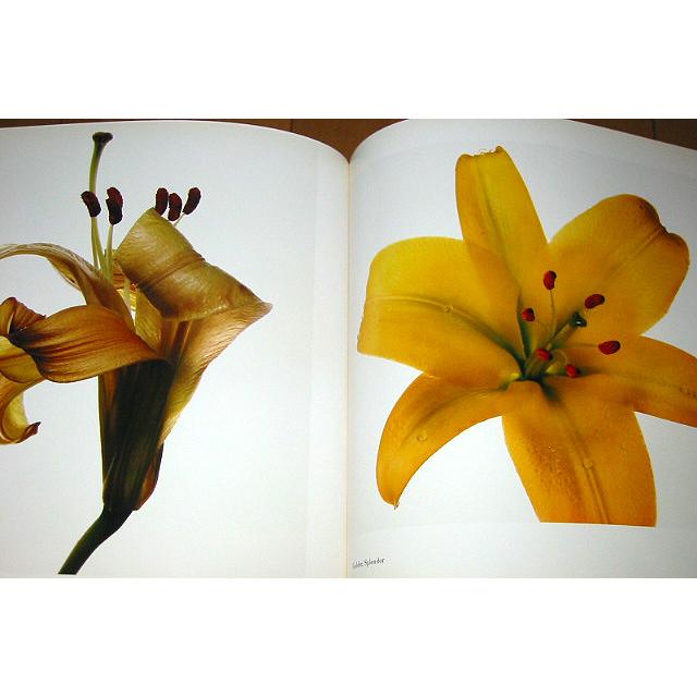 洋書写真集 フラワーズ/アービング・ペン/ FLOWERS/Irving Penn（輸入