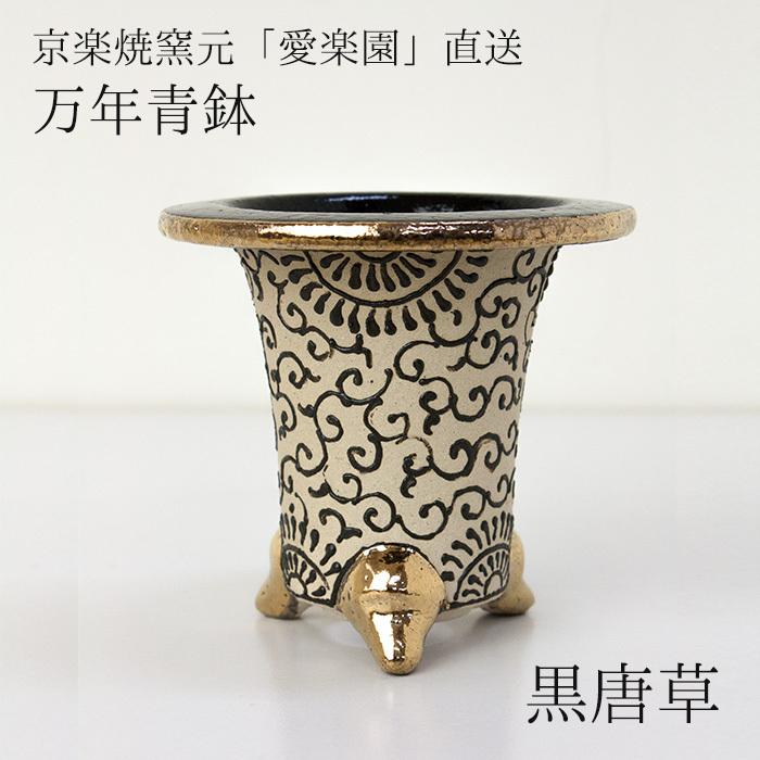 ◇京楽焼窯元「愛楽園」直送◇『万年青鉢（おもと鉢） 黒唐草』 3.0号