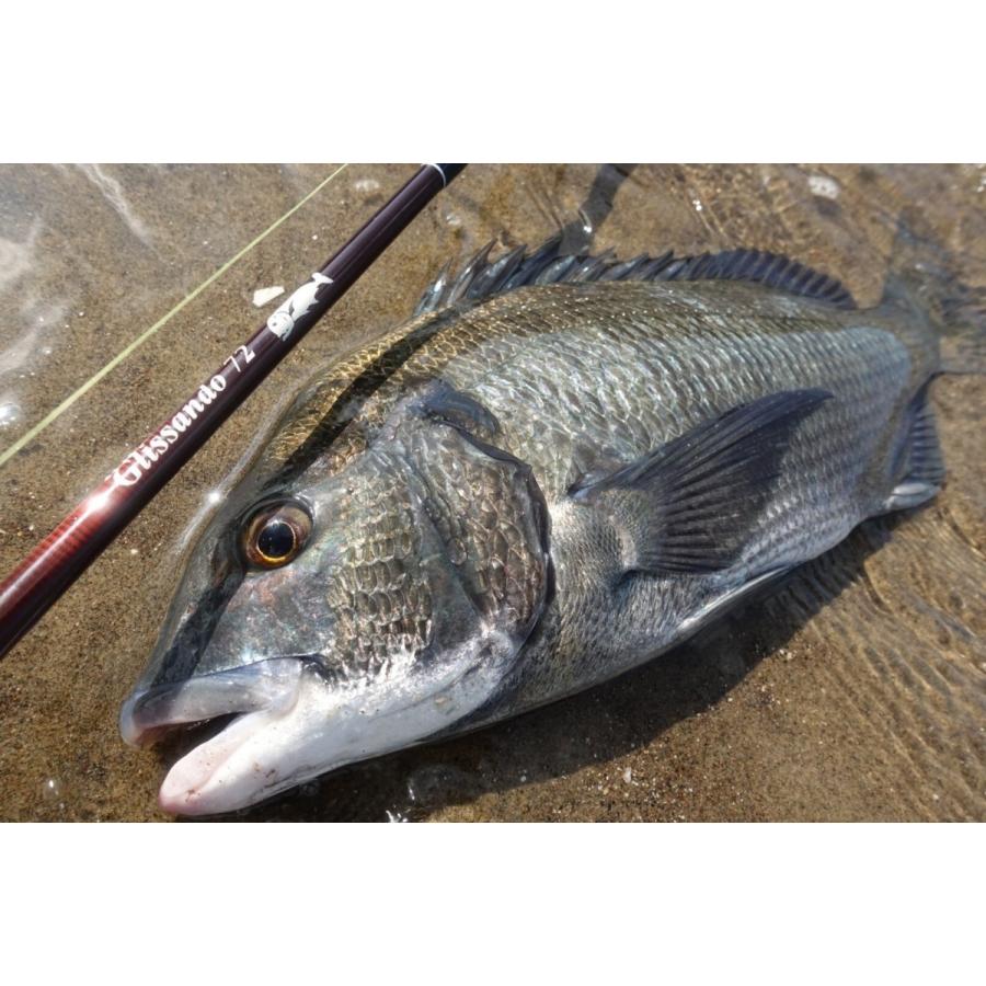 TULALA ツララ グリッサンドGlissando 72 : ウインズヤフー店 - 通販