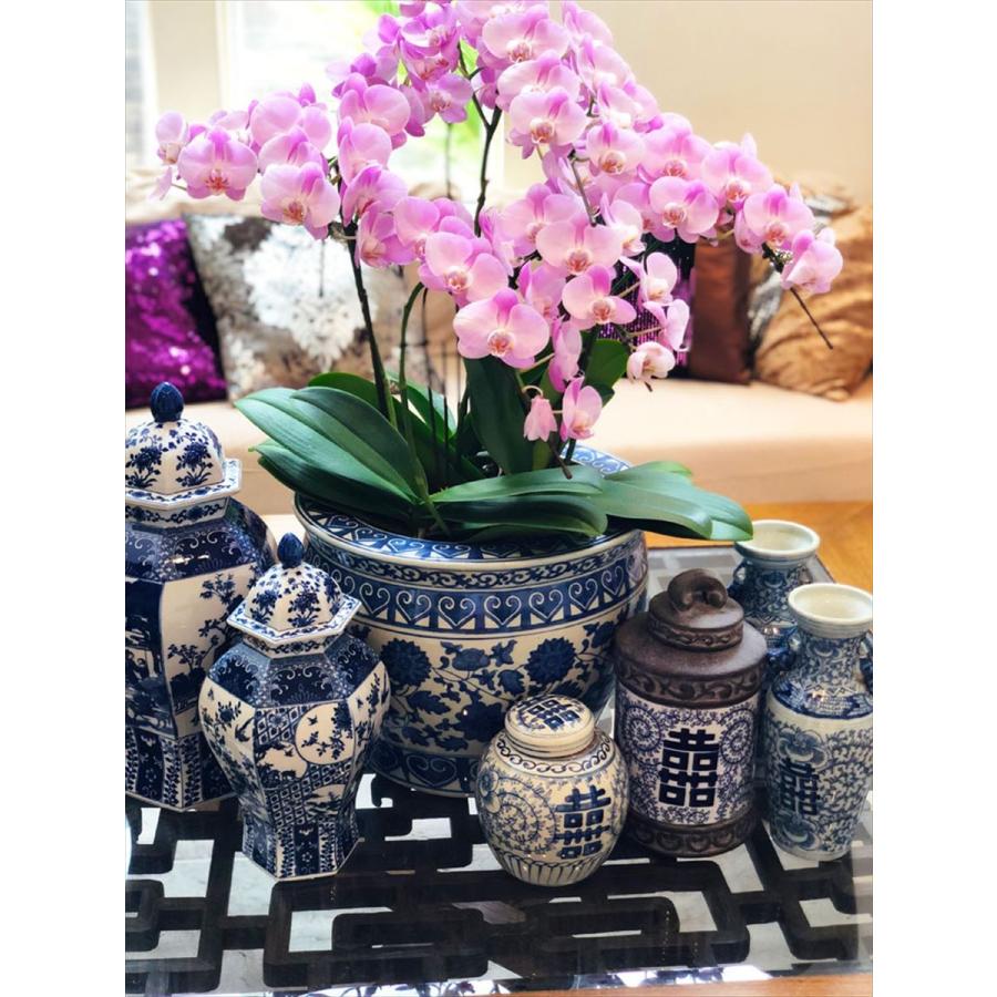 THE-SECRET-GARDEN シノワズリ Blue & White 飾り壺 大 青白陶器