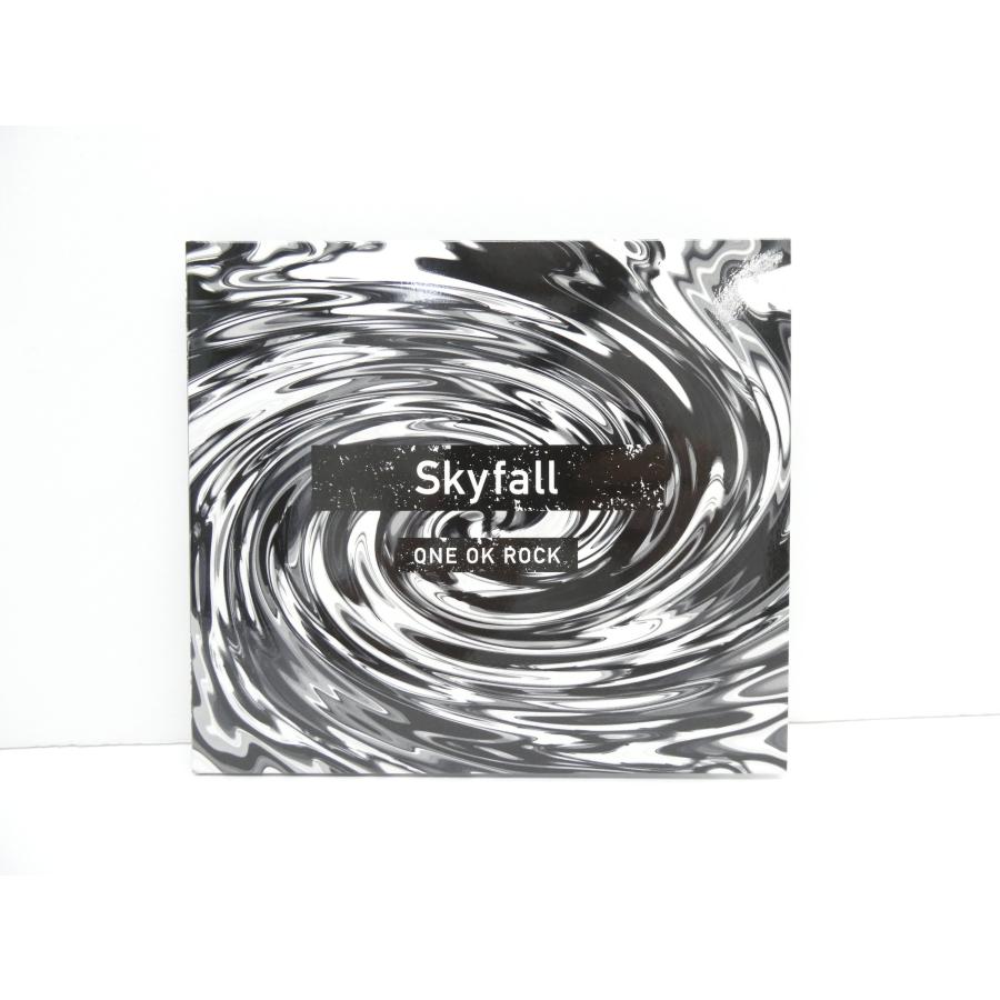 ツアー会場限定販売 ONE OK ROCK「Skyfall」ワンオクロック ONE OK