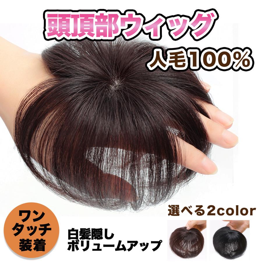 頭頂部 ウィッグ 部分ウィッグ ヘアピース 部分かつら 女性 メンズ