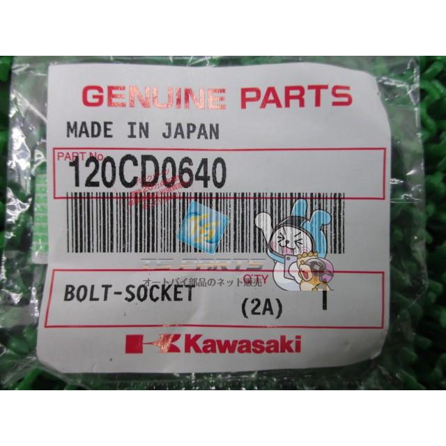 カワサキ（Kawasaki） NinjaZX-12R ステーターコイルボルト 在庫有