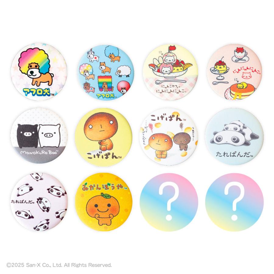 単品〉サンエックスキャラクターズ シークレットレザー風缶バッジ