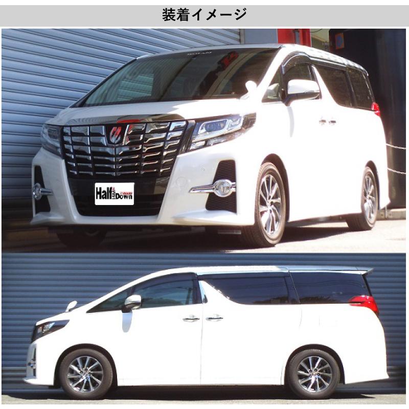 RS-R_Ti2000 HALF DOWN]AGH30W アルファード_2.5S(FF_2500 NA_H27/1