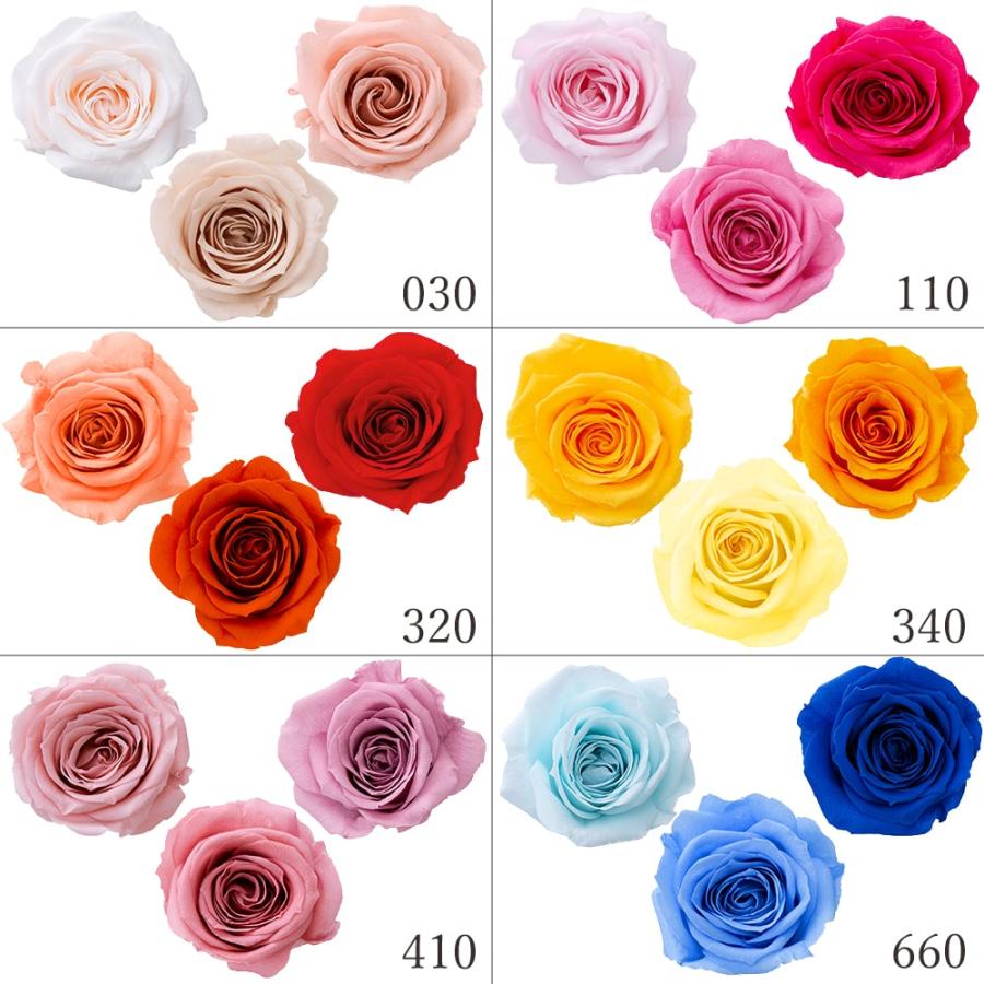 プリザーブドフラワー 花材 とりよせ品 ローズ・サラ カラーアソート(9