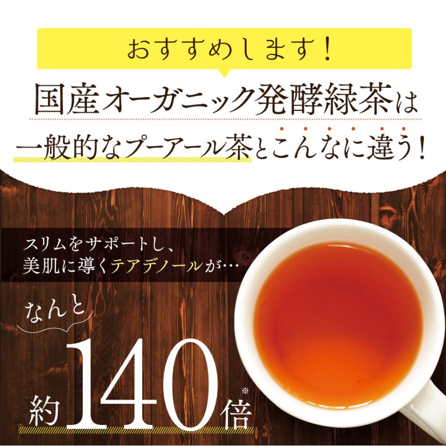 国産 オーガニック 発酵緑茶【2g×20包】｜ プーアル茶 プーアール茶