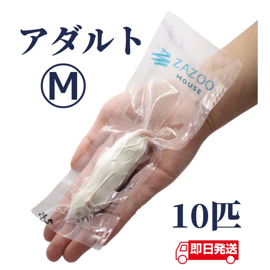 ZAZOO 国産 冷凍マウス アダルトM 20〜28g 約8.5cm 真空個別包装