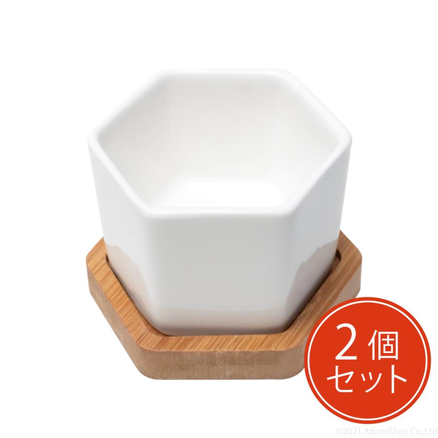 ミニ鉢 六角形 2個セット 底穴付き おしゃれ かわいい 植木鉢 多肉植物