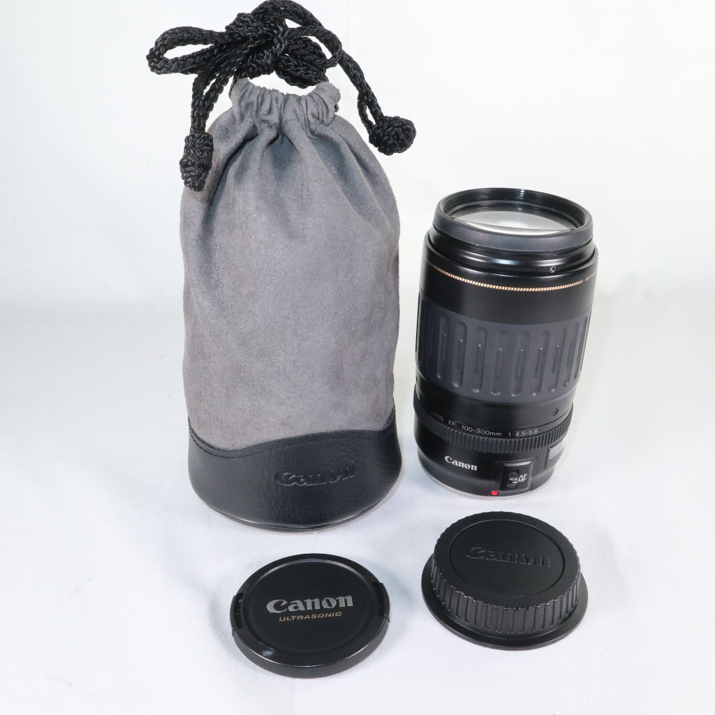 キヤノン EFレンズ EF100-300mm F4.5-5.6 USM 交換レンズ - 最安値