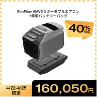 夏＆冬両用 ポータブルエアコンEcoFlow WAVE 3+専用バッテリーパック