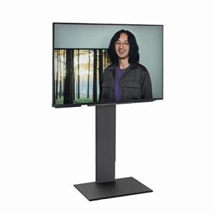 EQUALS イコールズ テレビ台 壁寄せテレビスタンド WALL V2 ハイタイプ