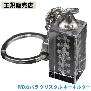 unica（ユニカ） 正規販売店 カタカムナ イヤシロBOX 八角型桐箱 (送料