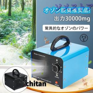 高性能オゾン発生機 10000mg 業務用 オゾン発生器 脱臭器 産業機 エア