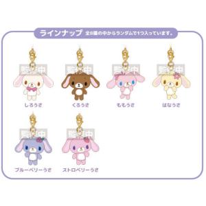 2026年2月】△シュガーバニーズのおすすめ人気ランキング - Yahoo