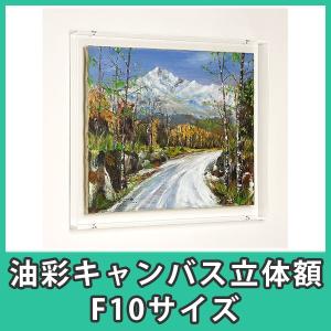 油彩キャンバス F8 額縁 壁掛け ケース ボックス 箱型 奥行 絵画 油絵