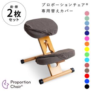 宮武製作所 プロポーションチェアキッズ用替えクッション（座面と膝2個