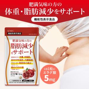 ターミナリア ダブル 120粒 協和食研 ダイエット お腹の脂肪 ［機能性