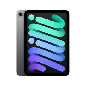 Apple iPad mini 第7世代 Wi-Fi 256GB MXNA3JA スペースグレイ【お