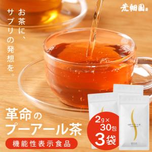 プーアル茶 プーアール茶 40袋（20袋×2個）ティーバッグ ダイエット茶