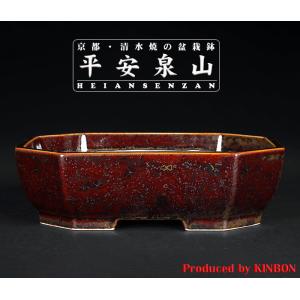 盆栽鉢 植木鉢 「平安泉山辰砂釉星結晶楕円鉢」 山草鉢 清水焼 京焼